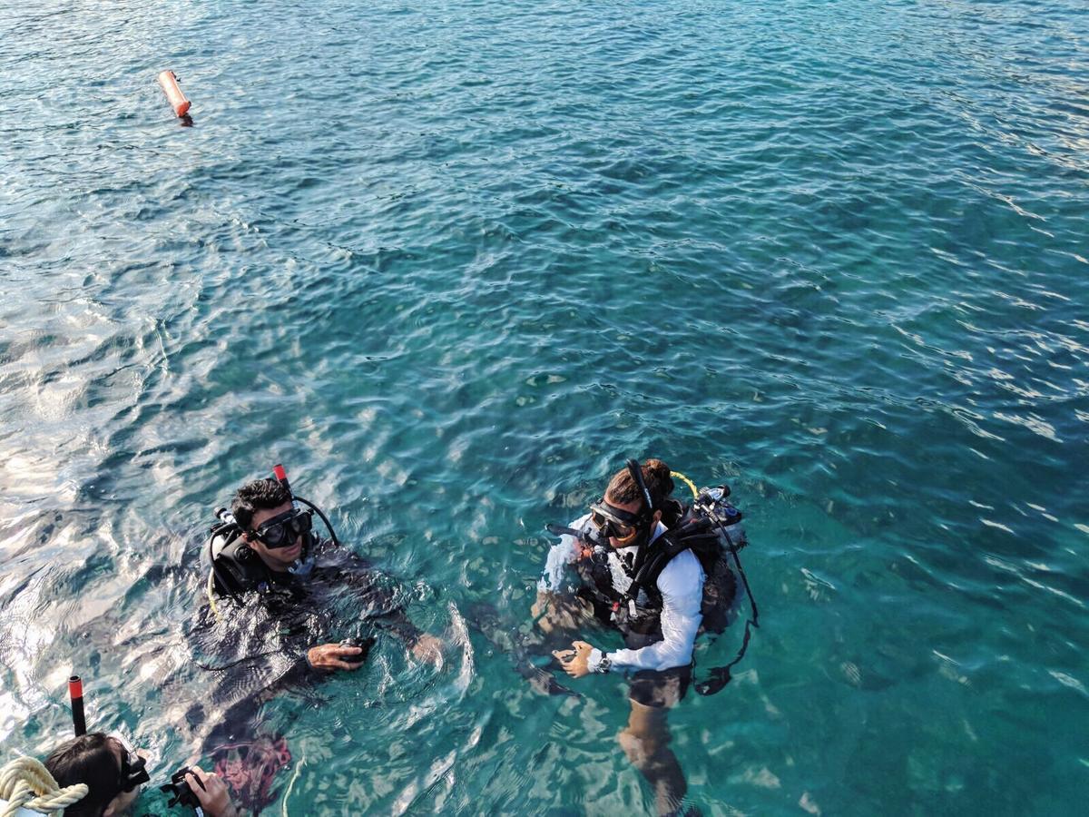 Quiver Dive Team Perhentian Dorm Pulau Perhentian Kecil Extérieur photo